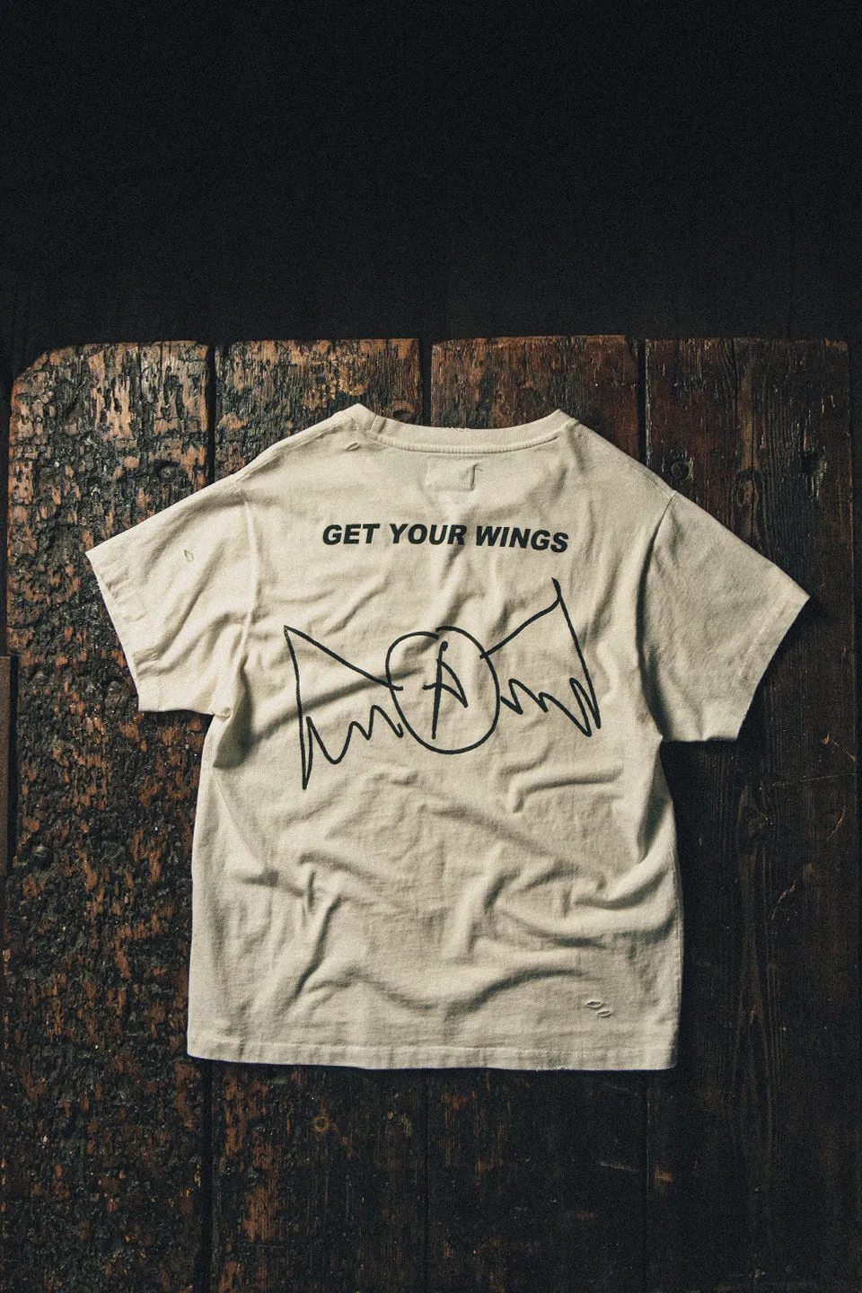 Aerosmith Get Your Wings Vintage T-Shirt